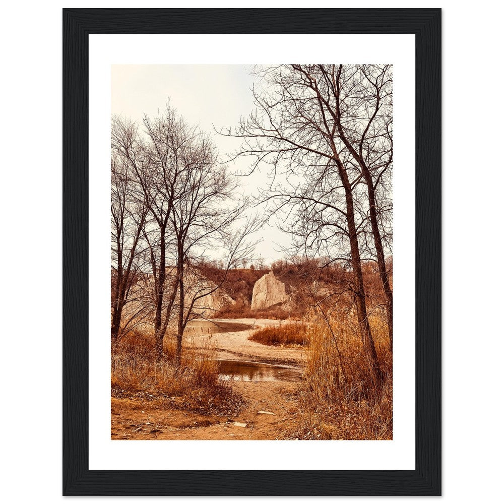 04435d1b-e7c4-497e-9c4d-1b556e56068d