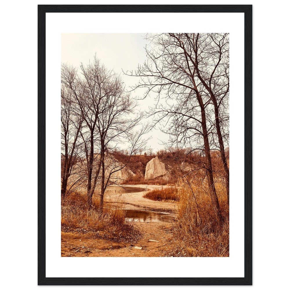 128f50f1-7da0-42ee-a3bc-741a4f345639