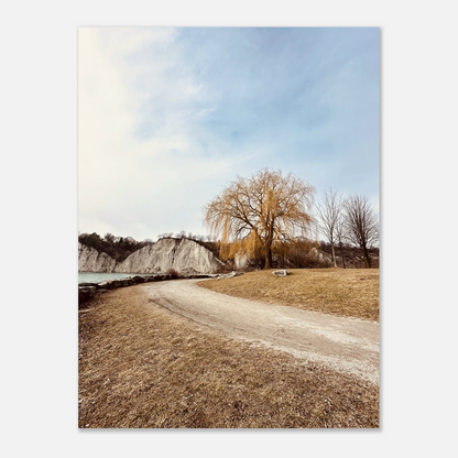 12d69d1a-0c8a-4944-8a7a-24dc03dcdc2b