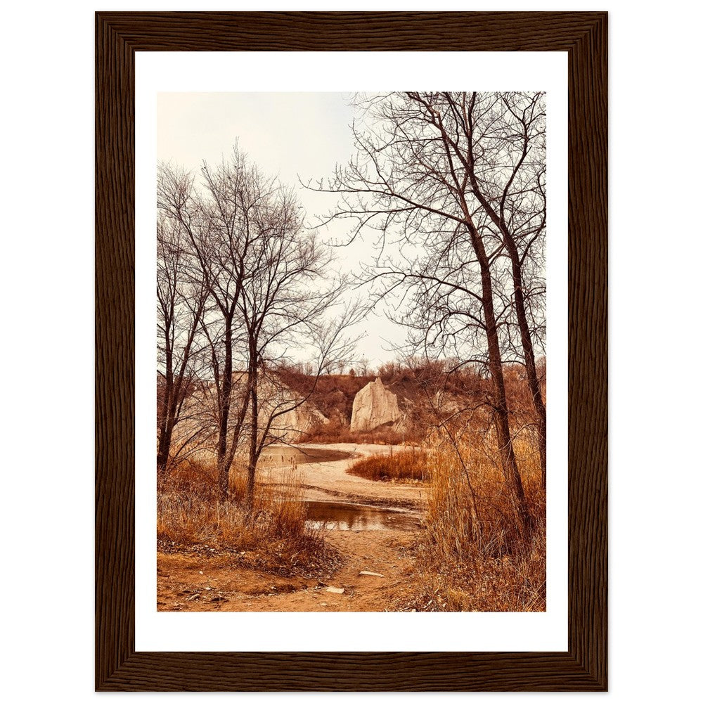 29f46ffb-00eb-4f8c-aa57-12af78682557