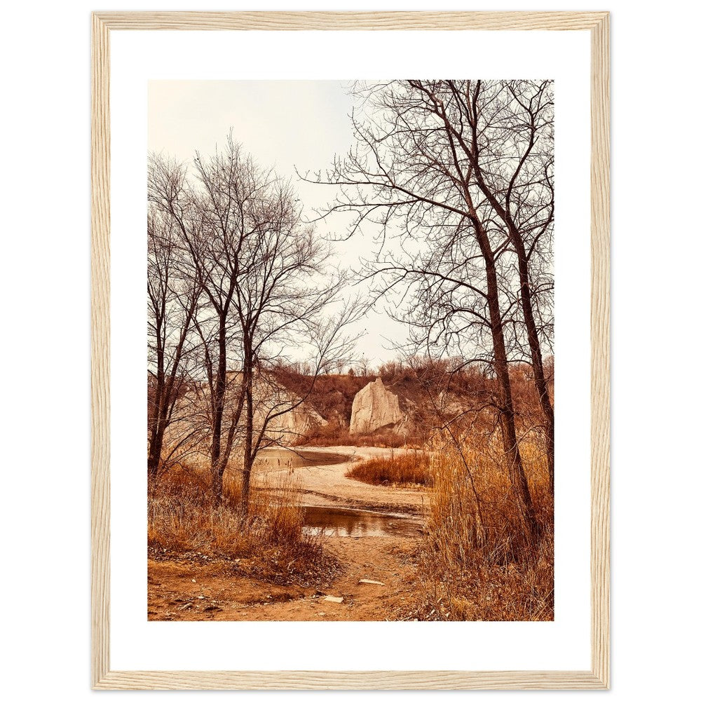 2ce916a3-5755-429c-84ed-b5f651fe9118