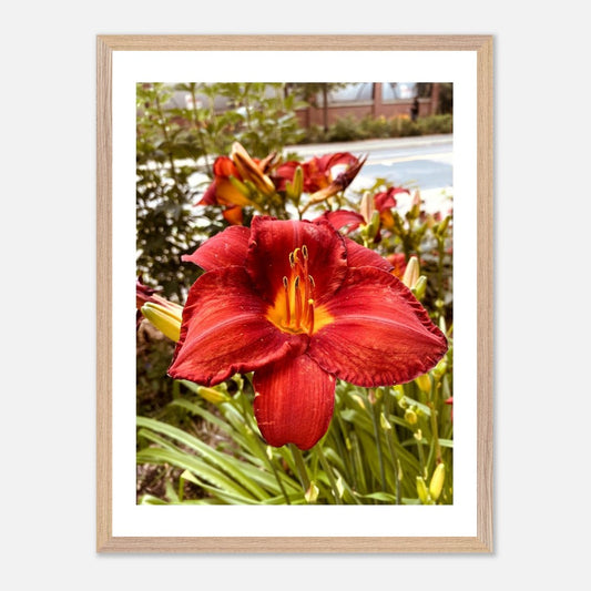 37edbc91-92d6-41ba-83a9-5418acbdce79