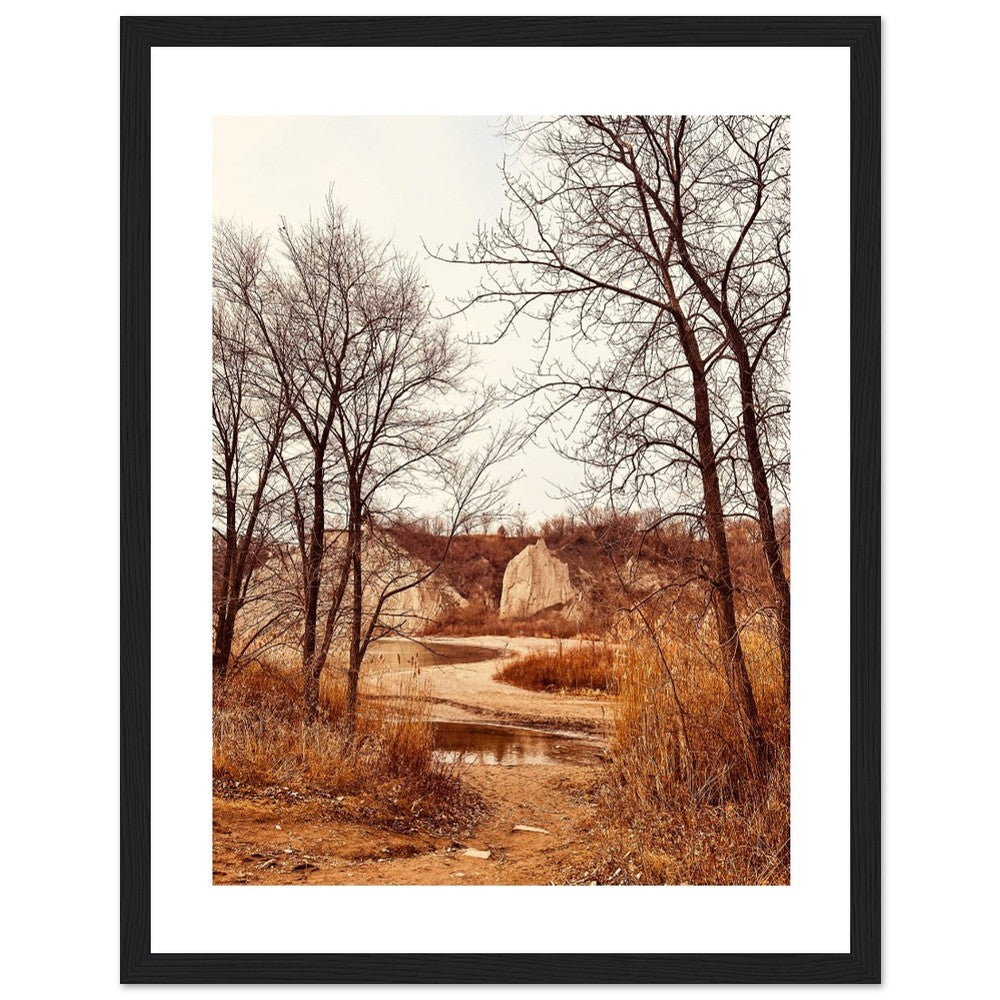 392b9704-444f-4c34-ace7-5f6325b29331