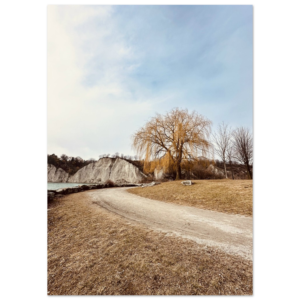 603ab9f7-f058-45e8-bf9b-0eb547f5ecc5