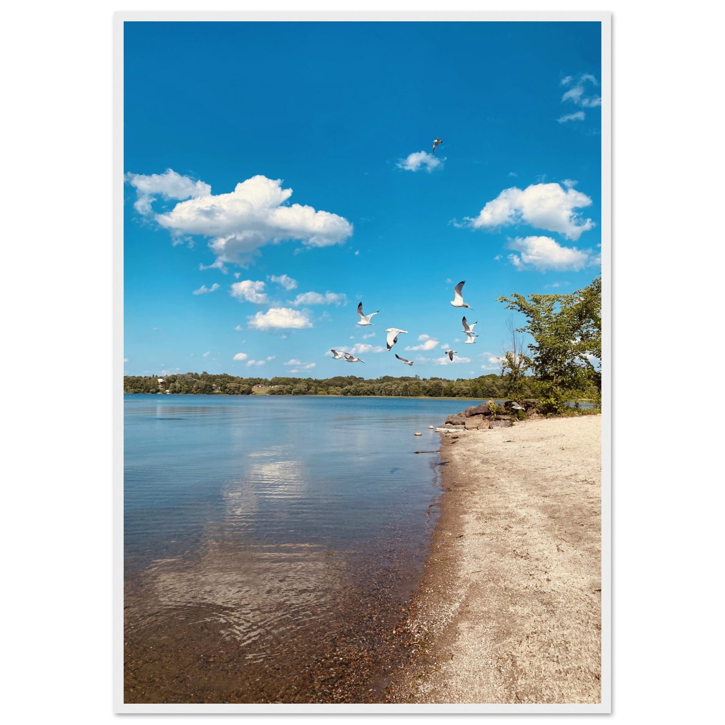 78138665-846f-4923-9348-d8f66b84d3eb