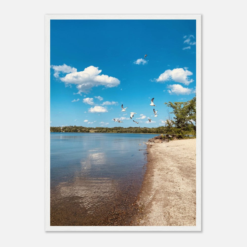 9155910a-91b5-42af-88f2-9cec940b771d