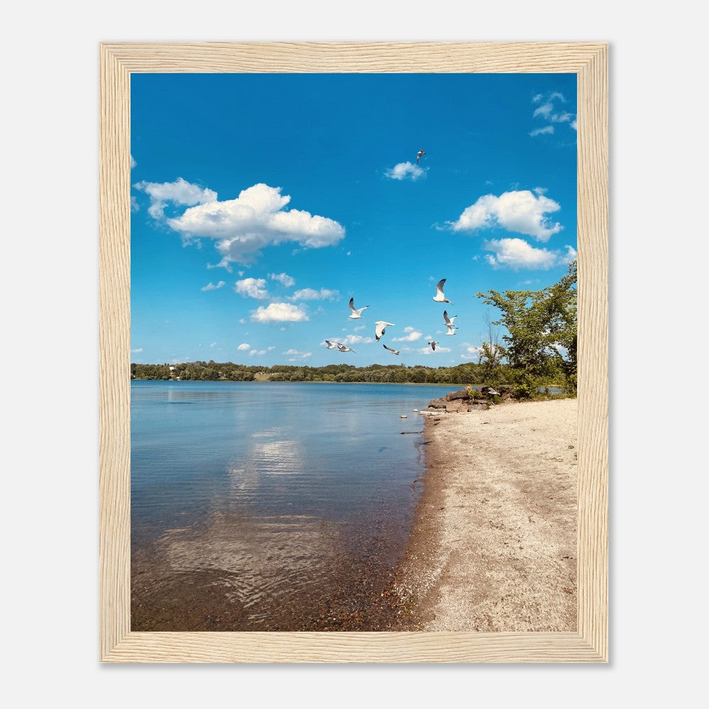 9d0c2bfc-2152-492f-b32b-54e03cb929ff