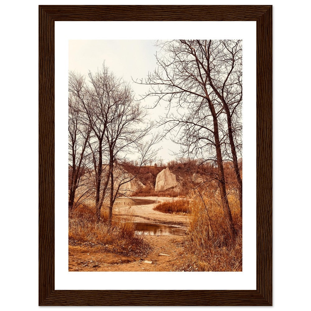 a3f2f9e4-e03f-4304-9677-f272ed6c81c6