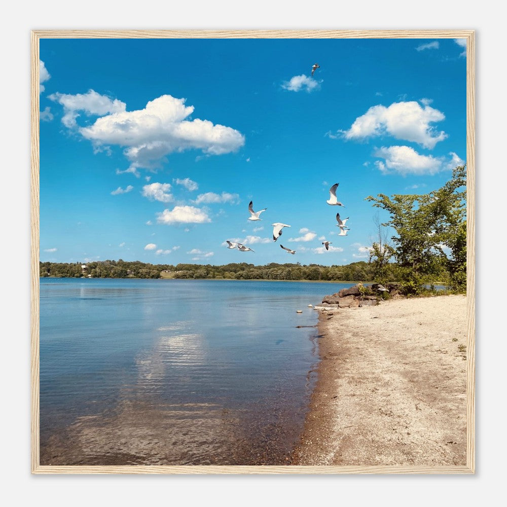 a5169c19-a8ee-4275-a995-ad3a87a3cc35