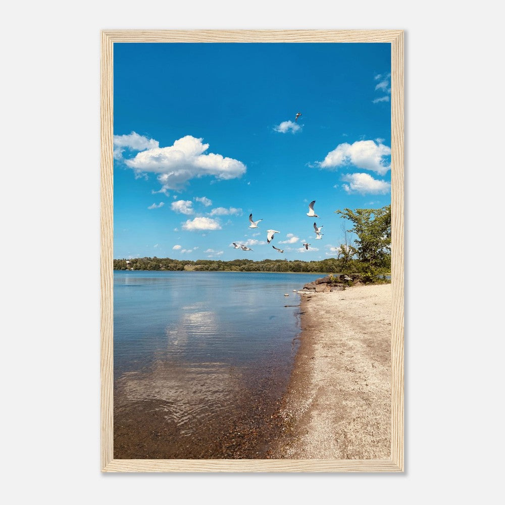 aa4872a2-b212-473c-8f48-3906a8f1902e