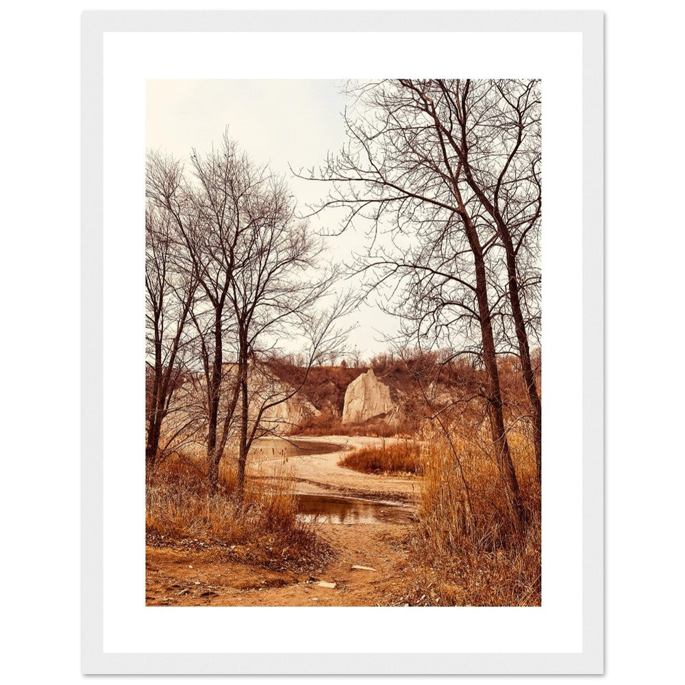 b5ce04a7-36ae-4210-bcb5-6b9b3904ed0b