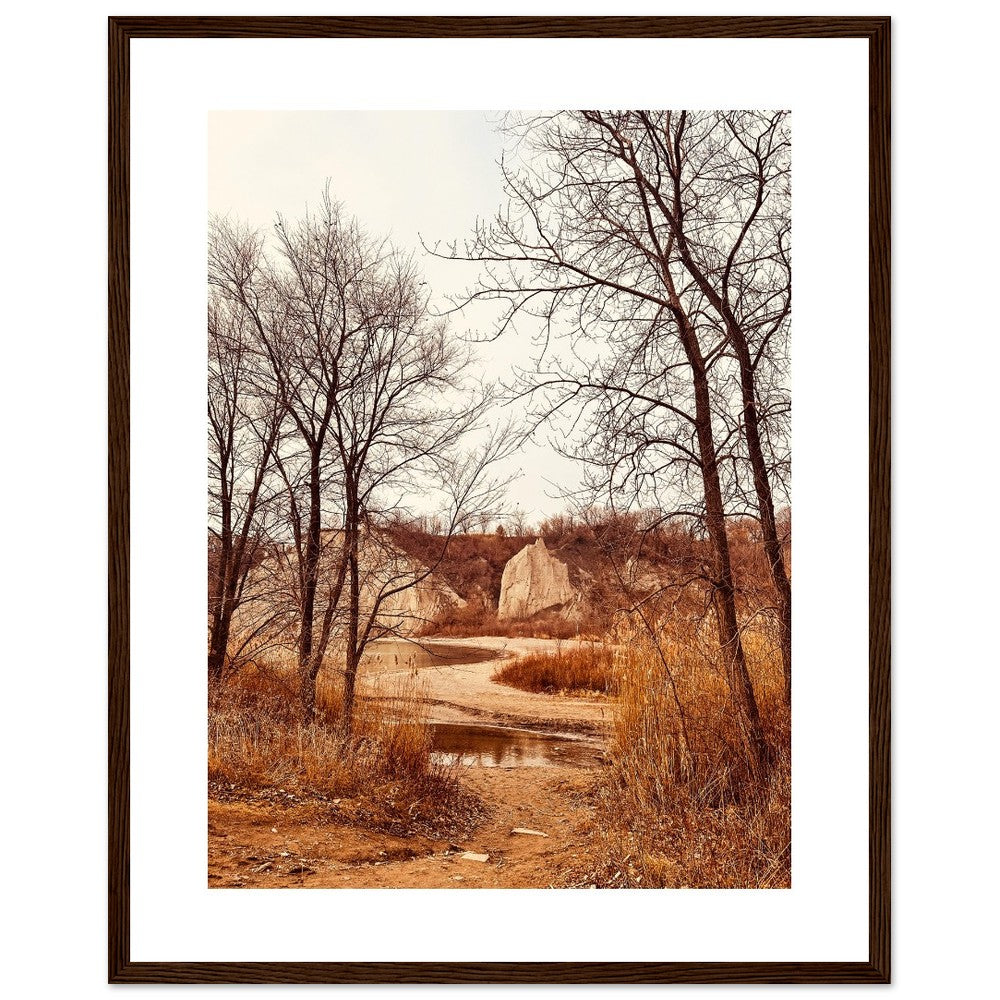 b7e56a3c-c7b4-423f-a225-ca448ab911ab