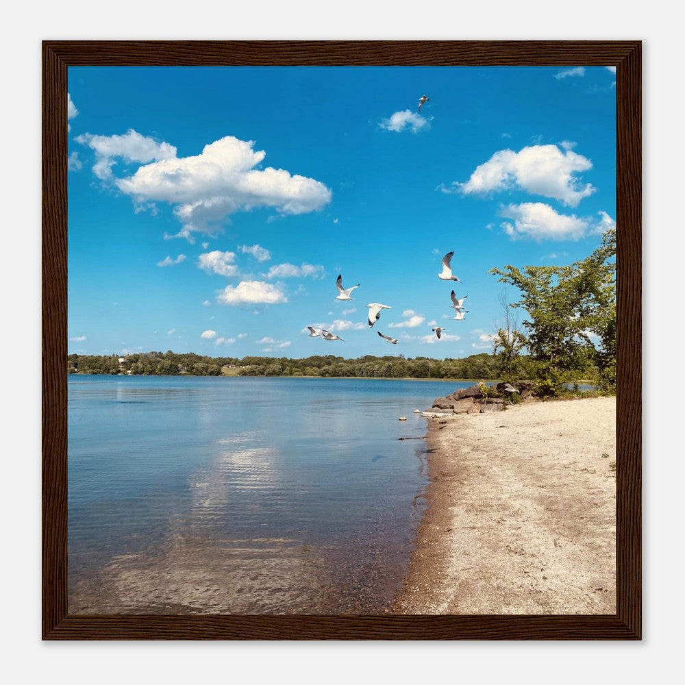 c6608c6f-881c-442c-9459-0f9901f50212