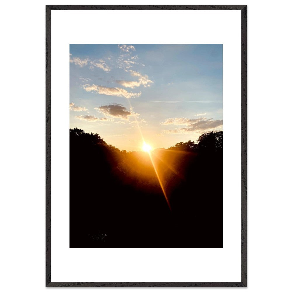 cd929a90-8dae-49ad-9bf9-4f03b95db2a8