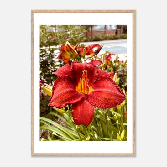 d73bd05d-aa70-47a4-81d7-29c7adc86aac