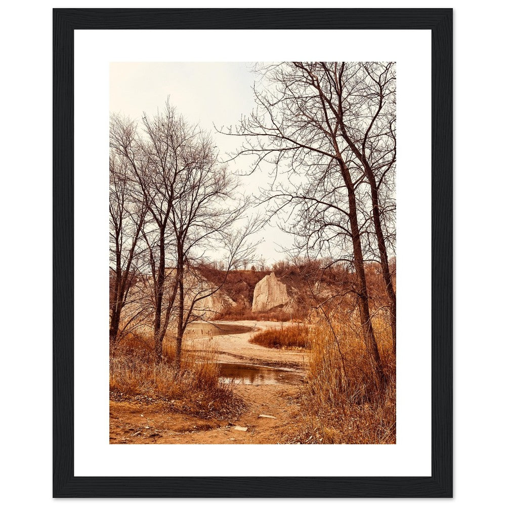 d89856a6-909a-4617-98a4-a60fb1926b8c