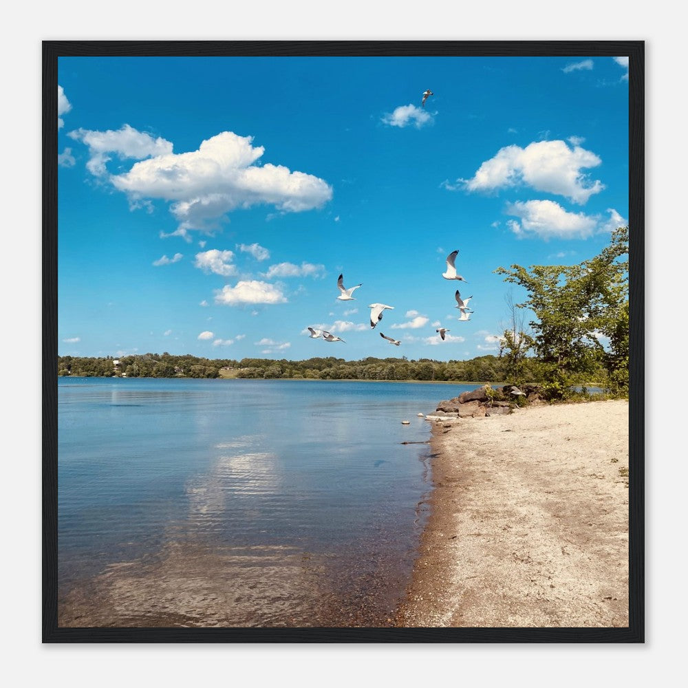 e2ad097d-00c7-41ce-b003-a7a2d39e9e6f