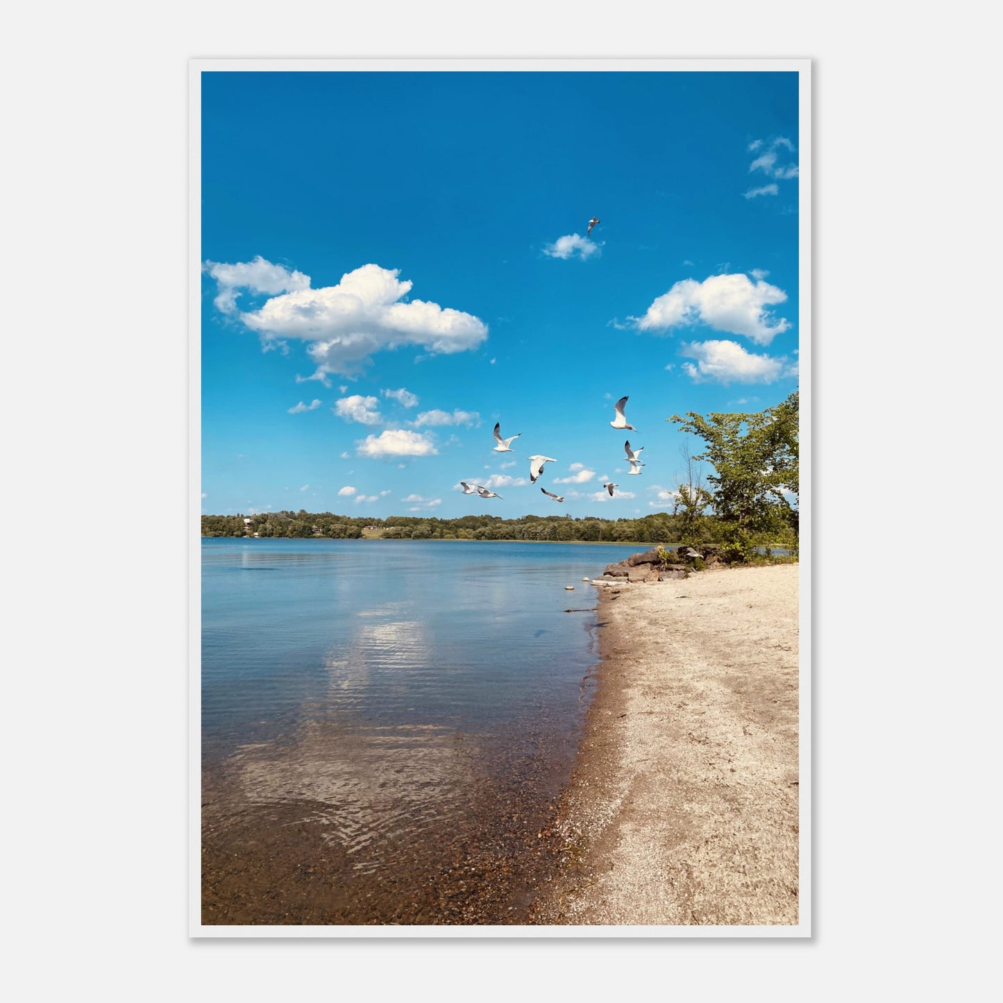 f2b89677-c004-43d4-8582-4f1caa573812