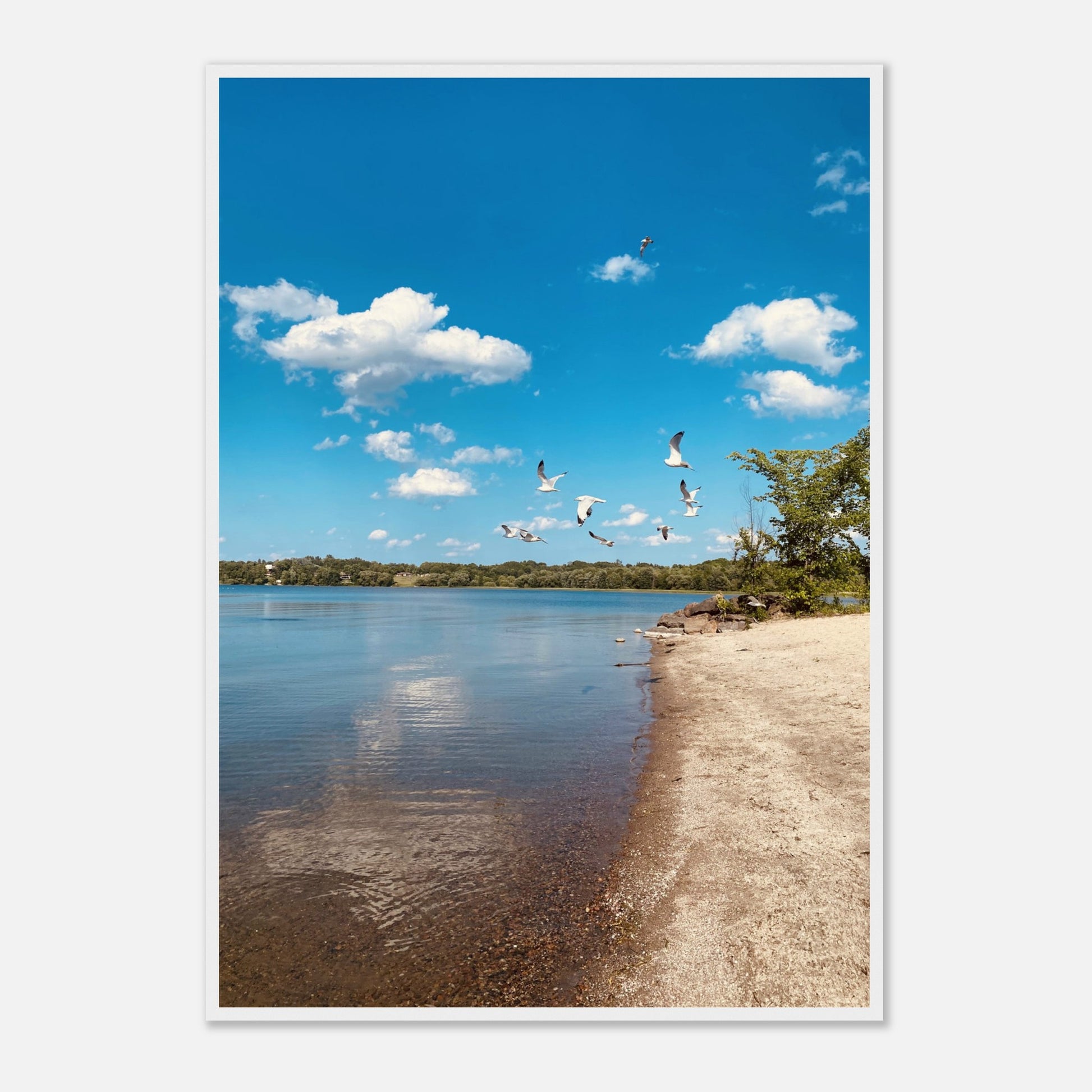 f2b89677-c004-43d4-8582-4f1caa573812