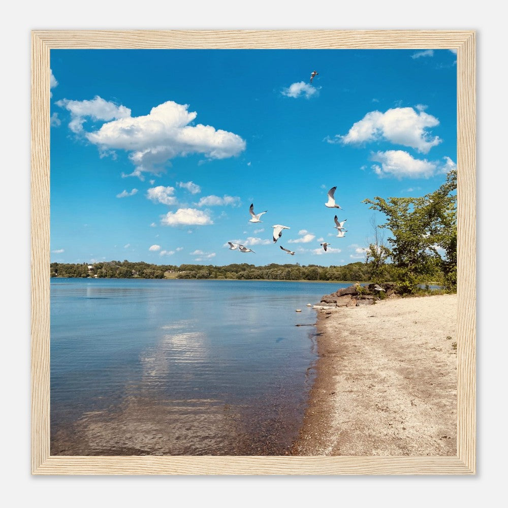 f444d1b0-29a2-41c8-8e79-1ae50093ec52