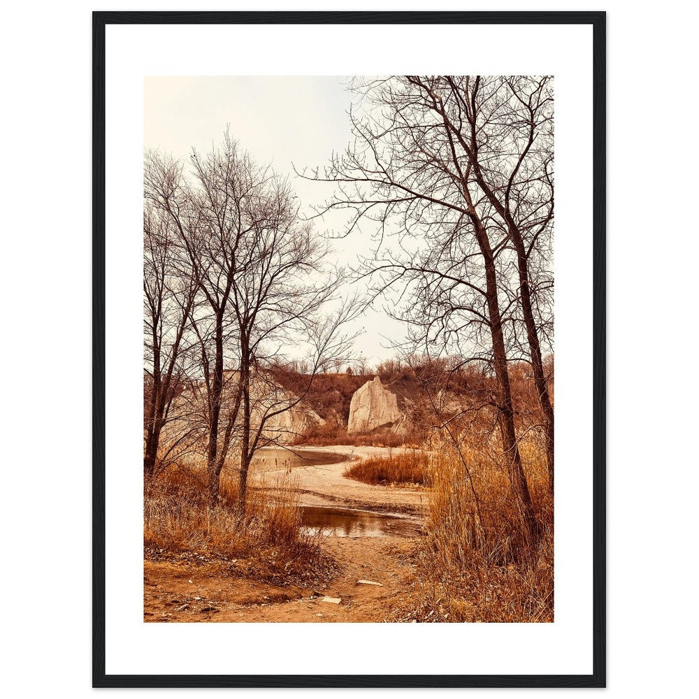 f555b5a5-3f55-4241-8cda-4a3a14b5a0ce