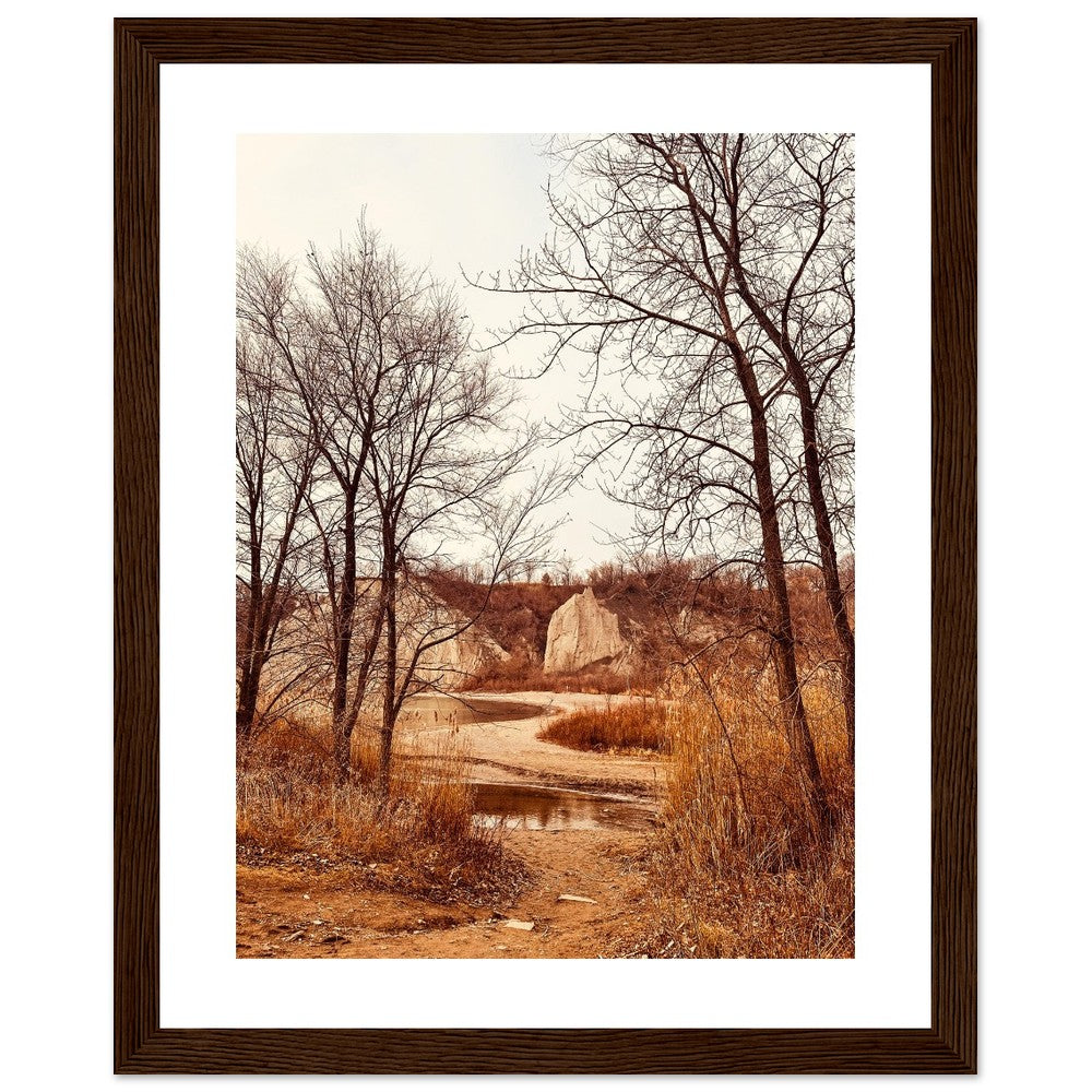 f62258b9-2434-422d-9ce4-7379ff287925